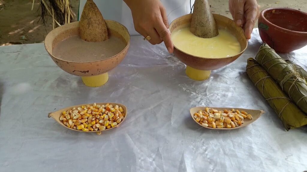 La Cocina Ancestral Zenú: Sabor y Tradición | Nautilus