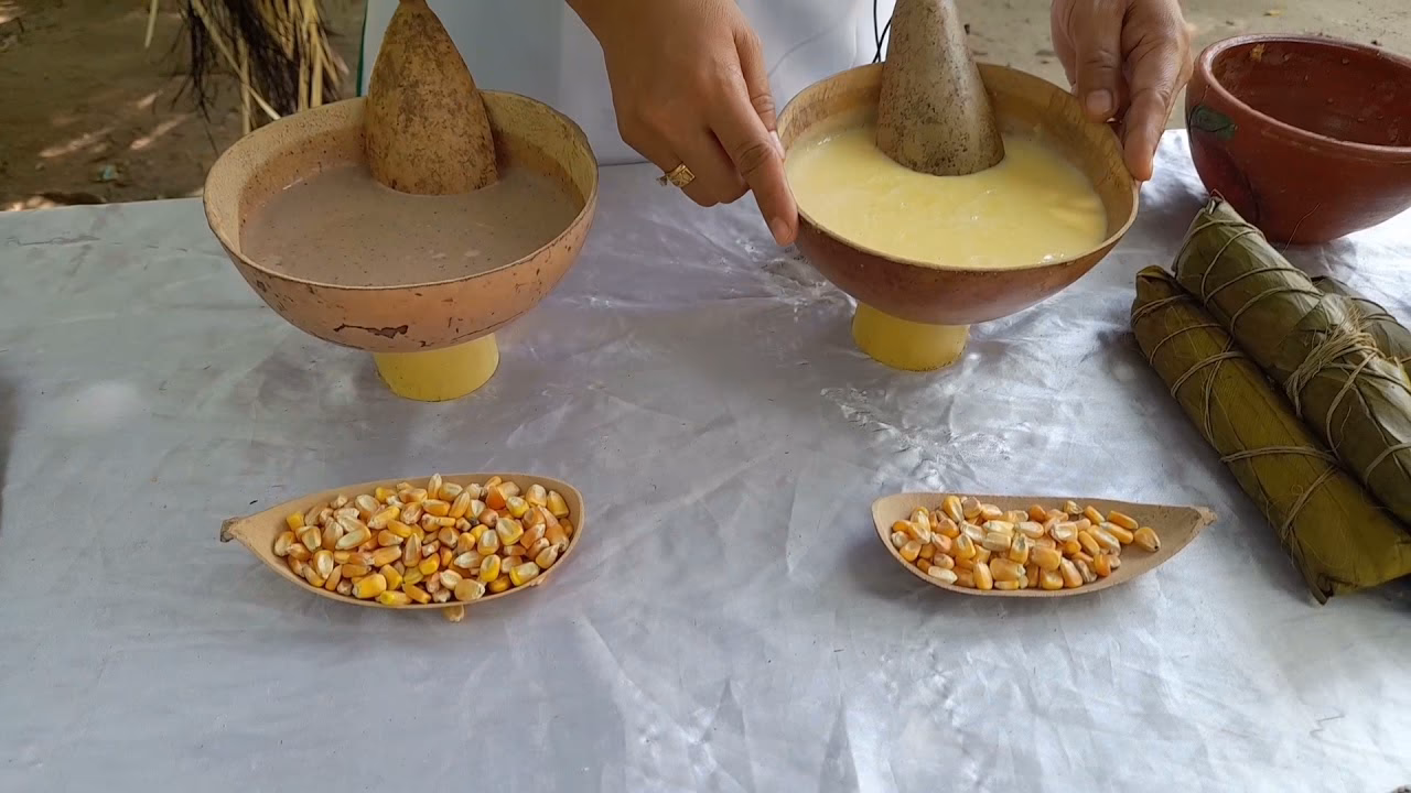 ¿Qué comen los zenúes?