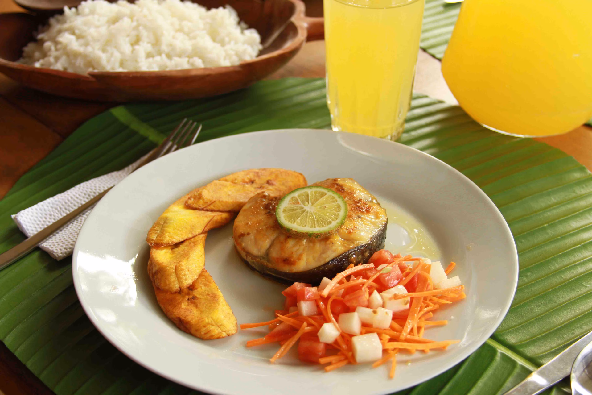 ¿Puerto Nariño características?