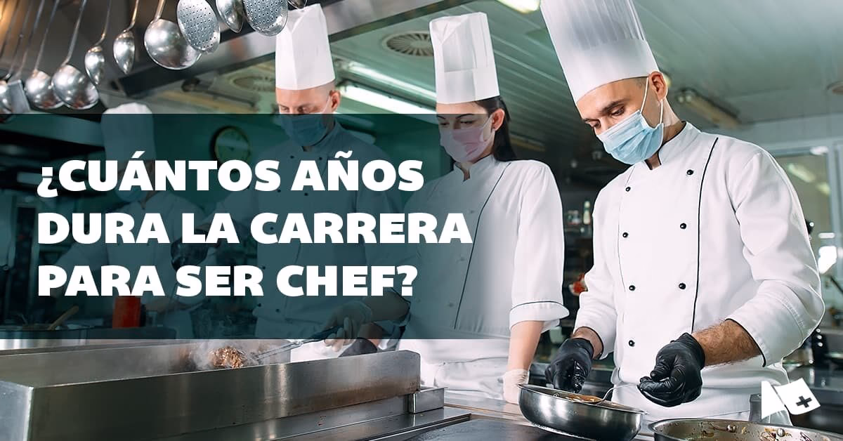 ¿Cuánto dura la carrera de gastronomía en la UASD?