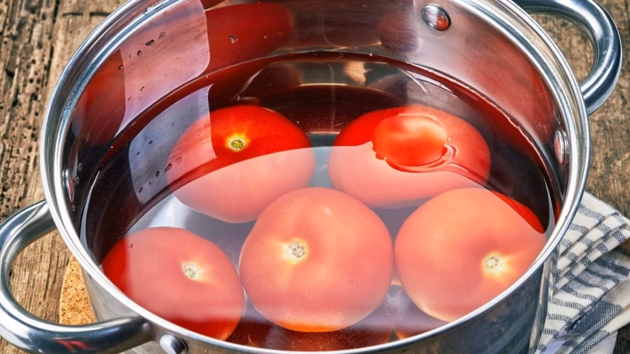 ¿Qué diferencia hay entre hervir y escaldar?