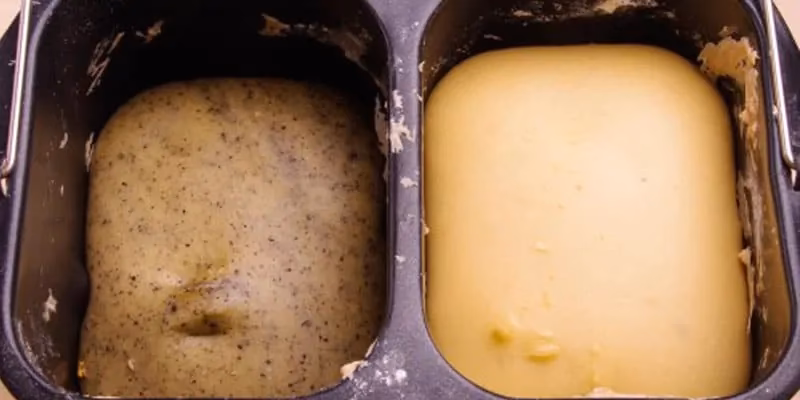 ¿Qué es la fermentación en gastronomía?