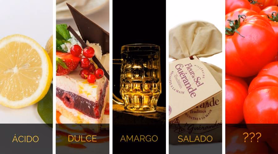 ¿Qué es el sabor en gastronomía?