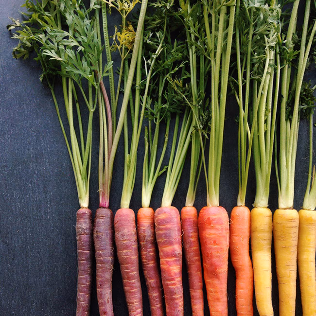 ¿Qué alimentos se degradan?