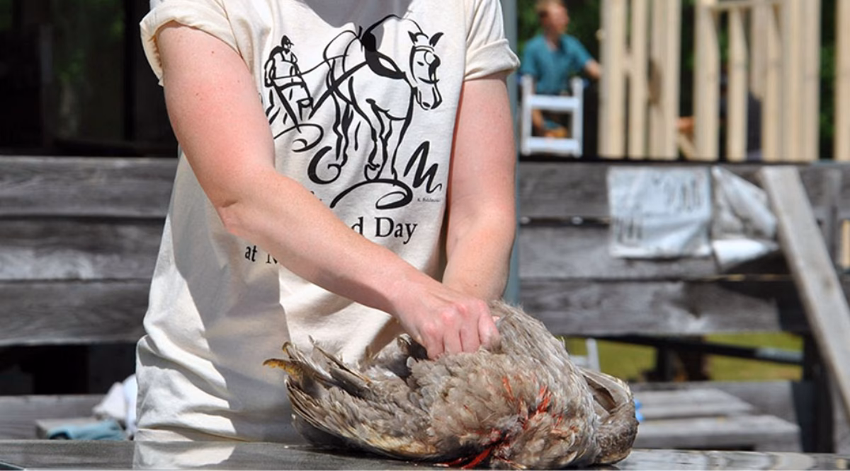 ¿Qué es pelar en gastronomía?