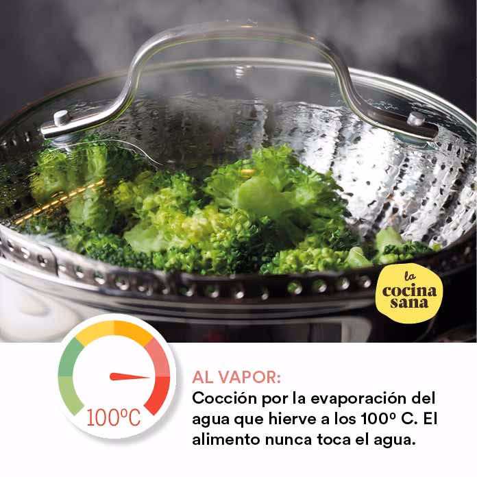 ¿Cuál es la diferencia entre el vapor seco y el vapor húmedo?