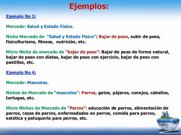 ¿Cuáles son algunos ejemplos de nichos de mercado exitosos?