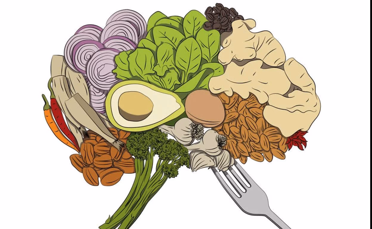 ¿Cuál es el principal combustible del cerebro?