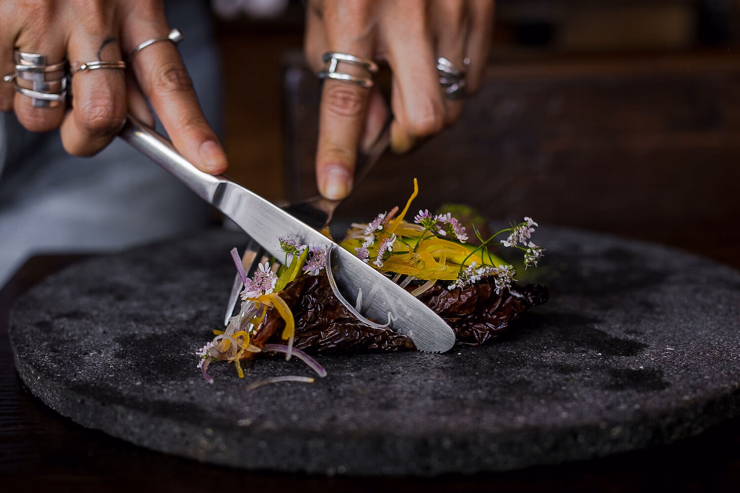 ¿Qué significa endemico?