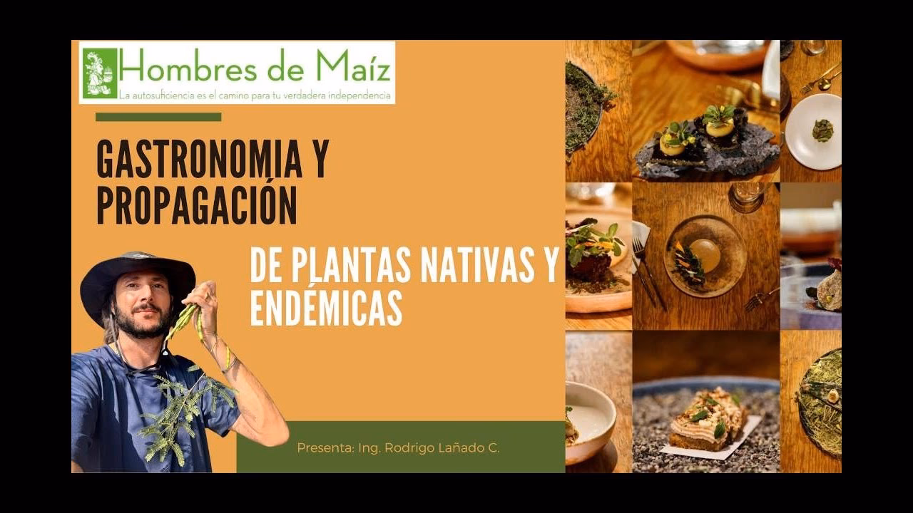 ¿Qué significa cocina endémica?
