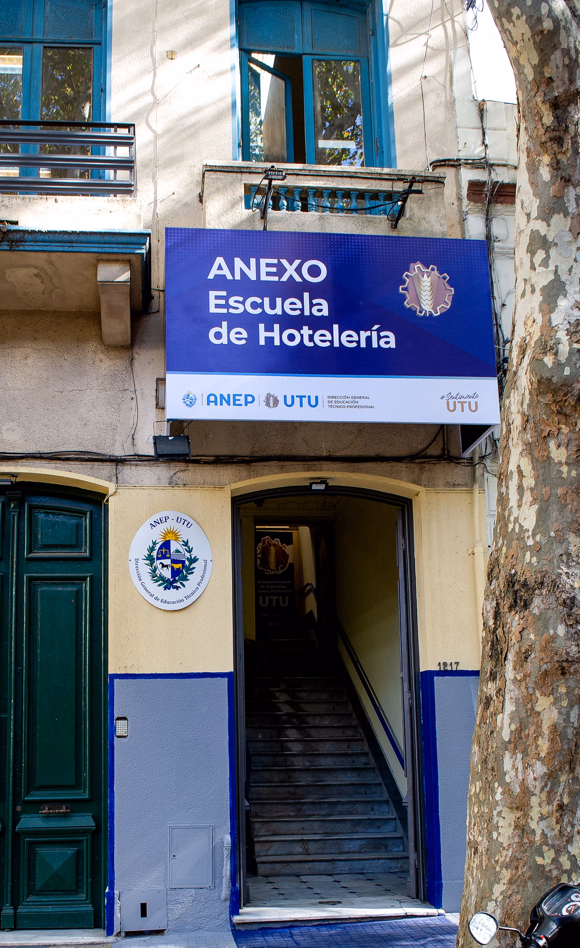 ¿En qué UTU se estudia turismo?