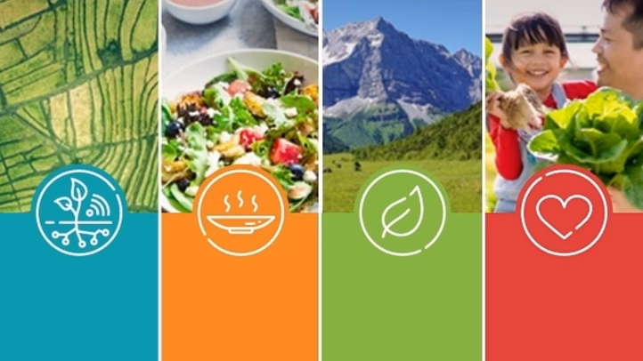 ¿Qué es la FAO en gastronomía?