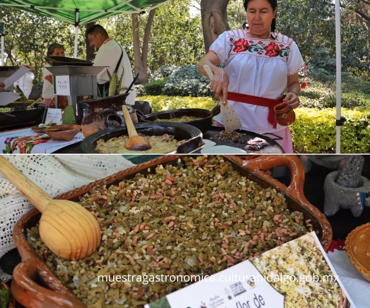 ¿Cuáles son algunos festivales de comida en México?