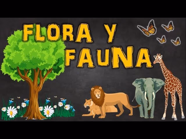 ¿Qué es el tipo de flora y fauna?