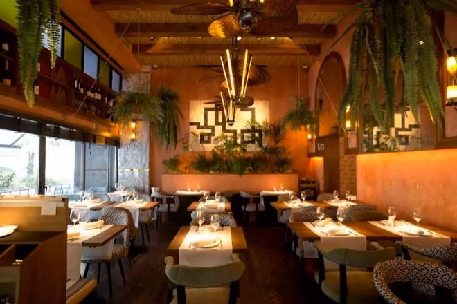 ¿Para qué se utilizan las pastillas de alcachofa?