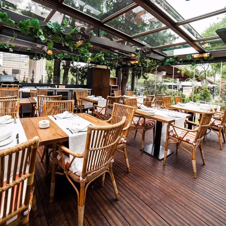 ¿Para qué sirve el jarabe de alcachofa?