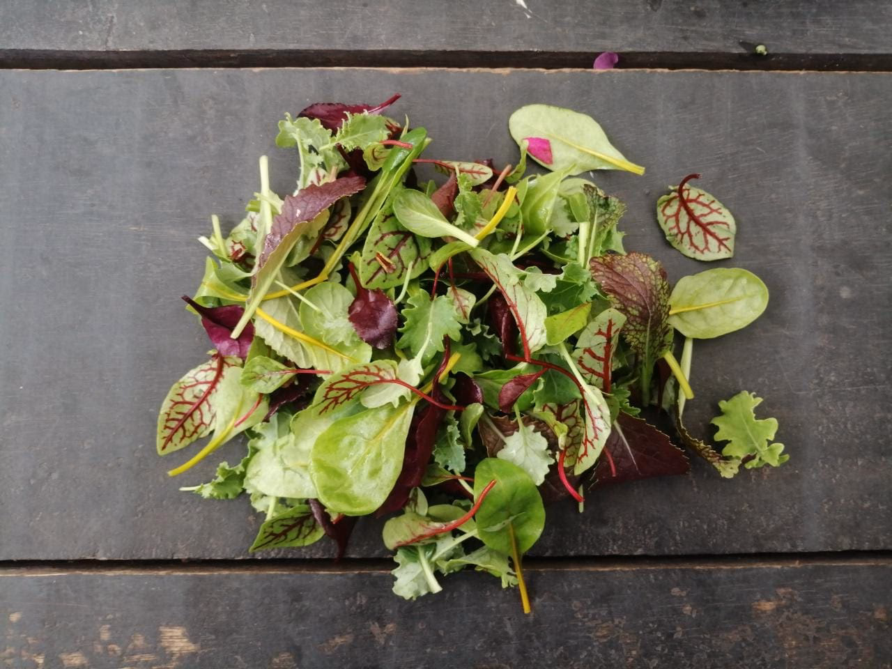 ¿Qué flores se dan en Bogotá?