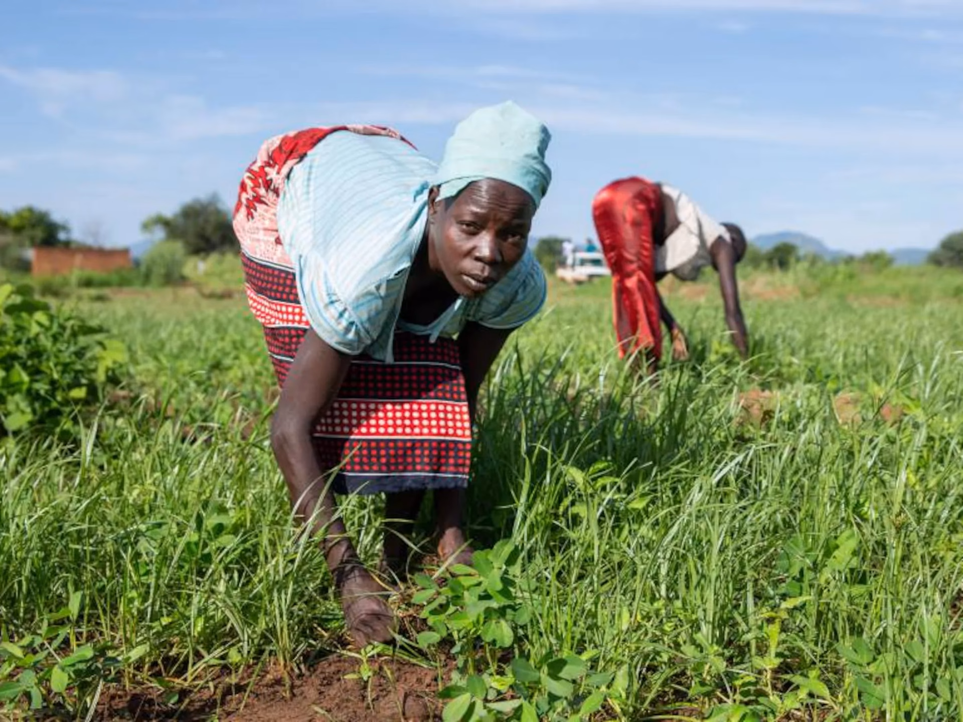 ¿Qué país tiene la mayor cantidad de ganado en África?