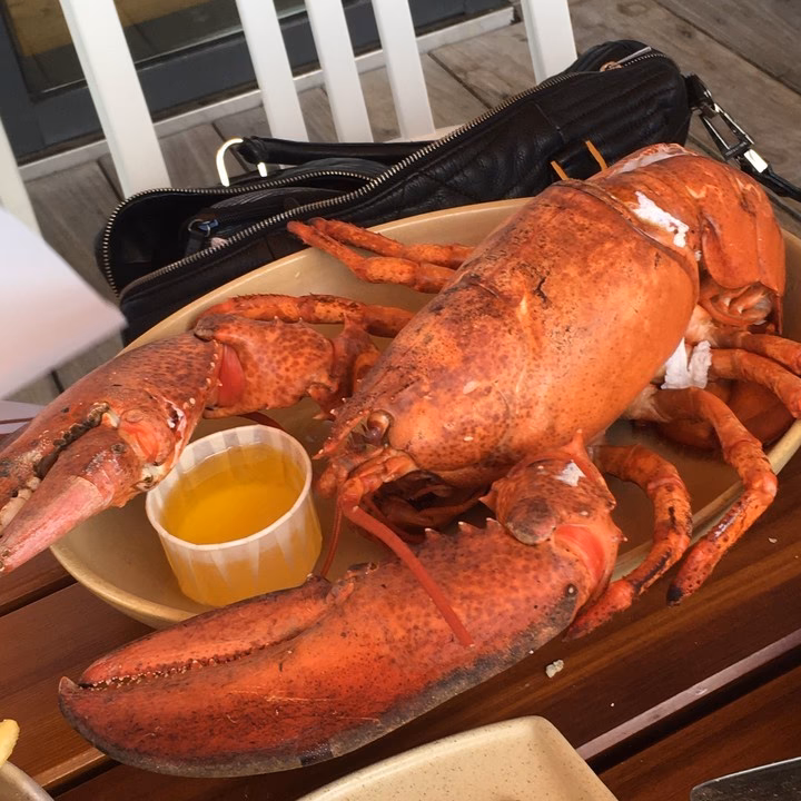 ¿Cuánto cuesta estudiar en Boston?