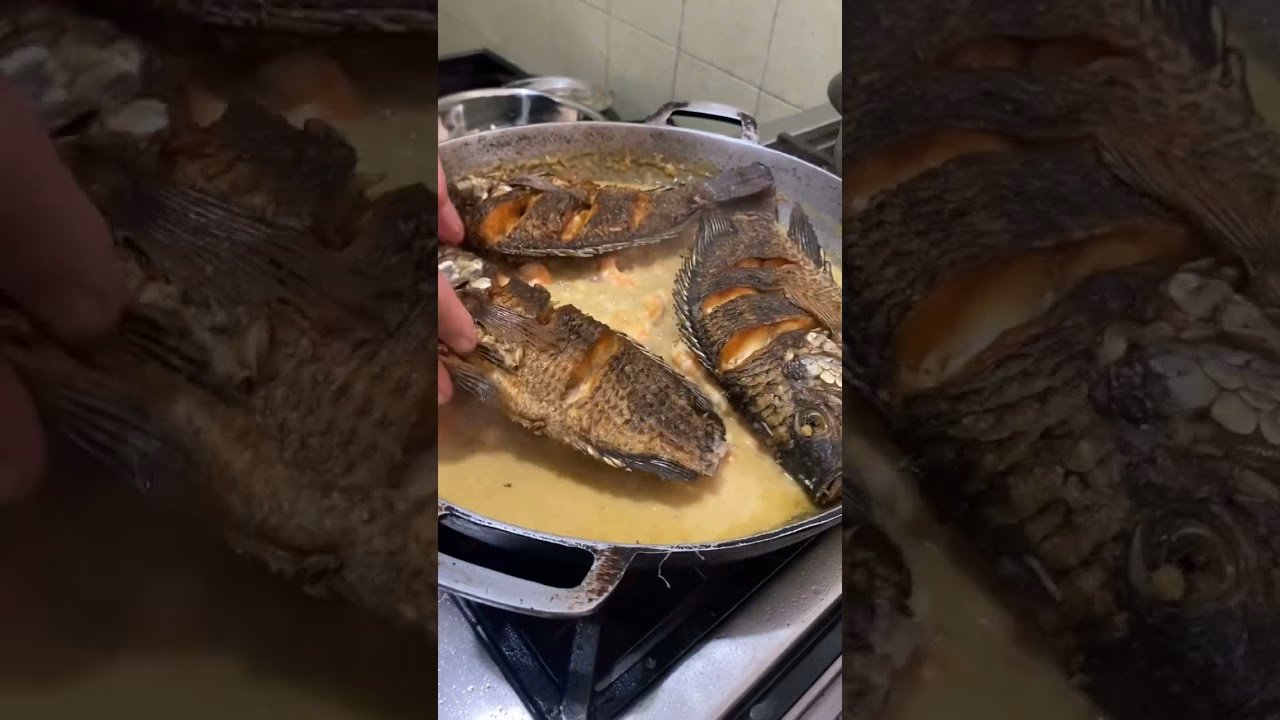 ¿Cuál es la diferencia entre una mojarra y una tilapia?