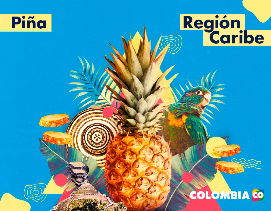 ¿Cuáles son las 365 frutas de Colombia?