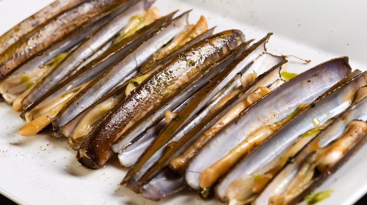 ¿Qué es la depuración de moluscos?