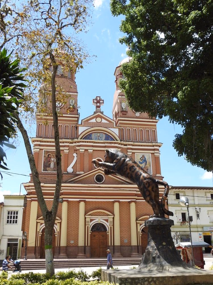 ¿Qué se cultiva en Amalfi, Antioquia?