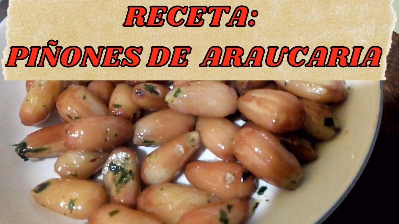 ¿Cómo se puede consumir el piñón?