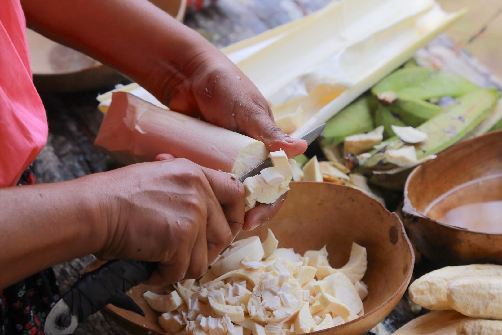 ¿Cuáles son las costumbres de los páez?