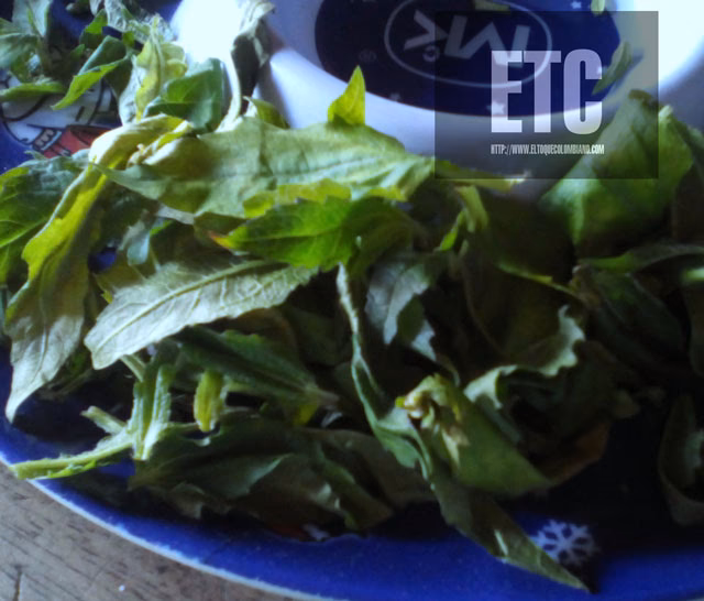 ¿Qué actividades turísticas se pueden realizar en Guaca, Santander?