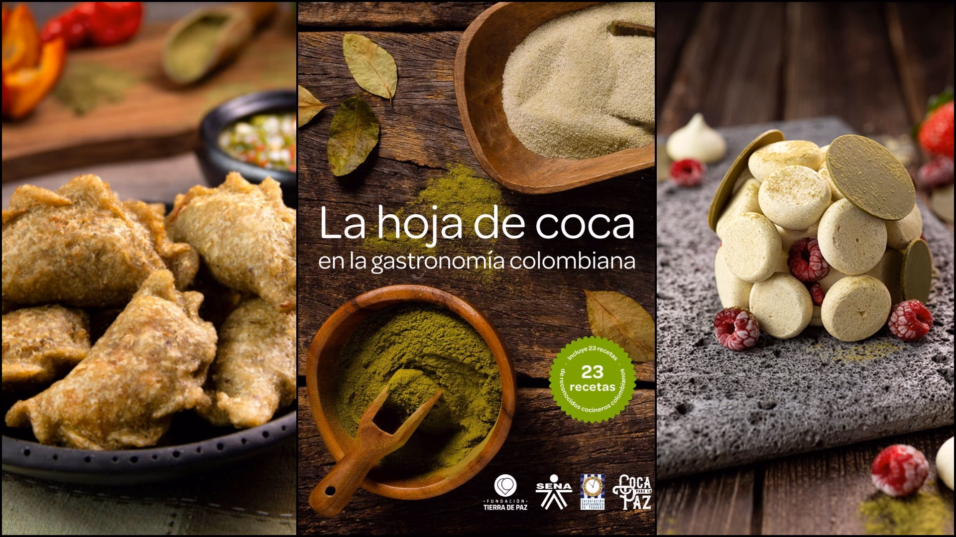 ¿Qué productos se pueden hacer con la hoja de coca?