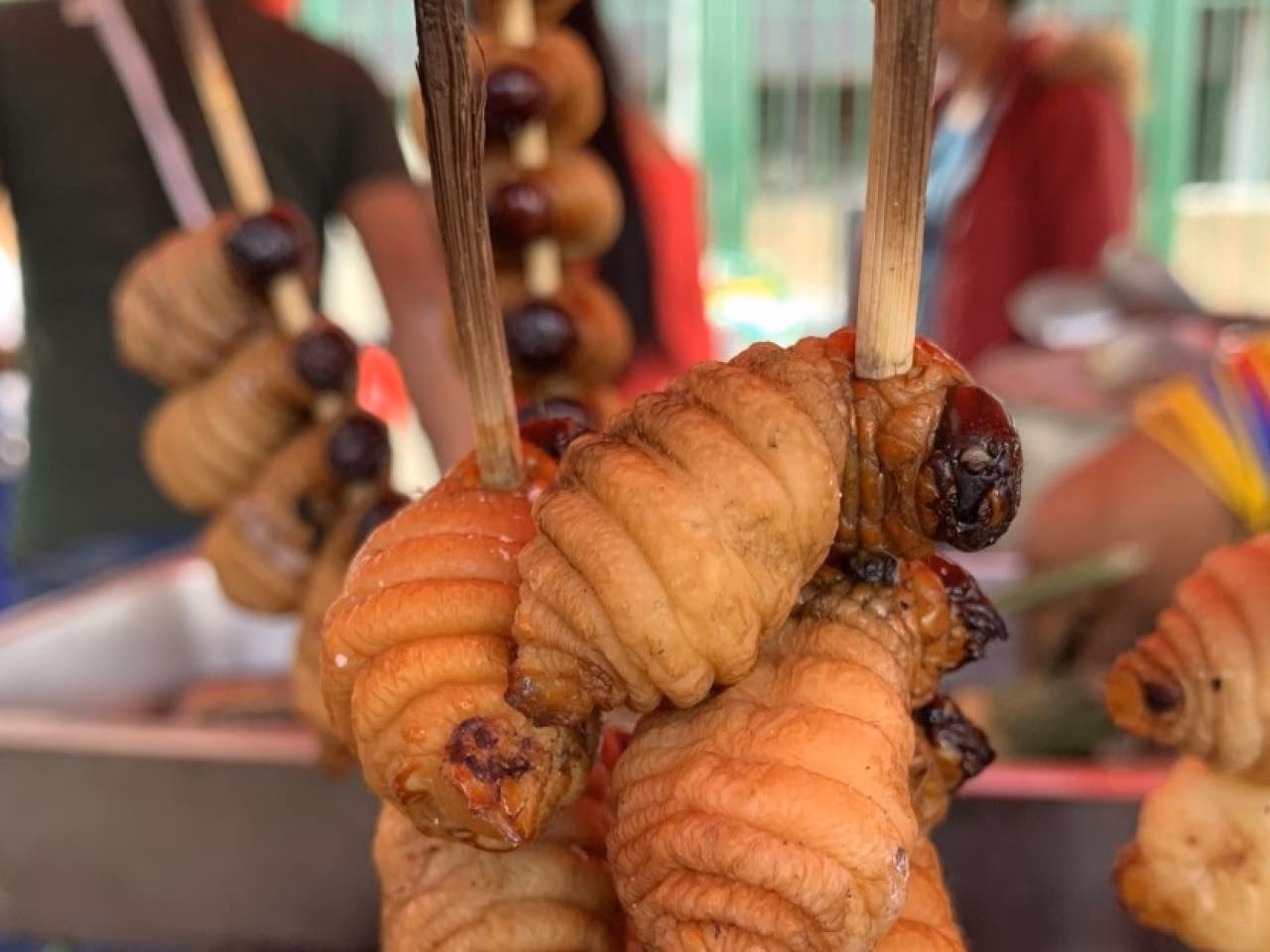 ¿Qué comida hay en Amazonia?