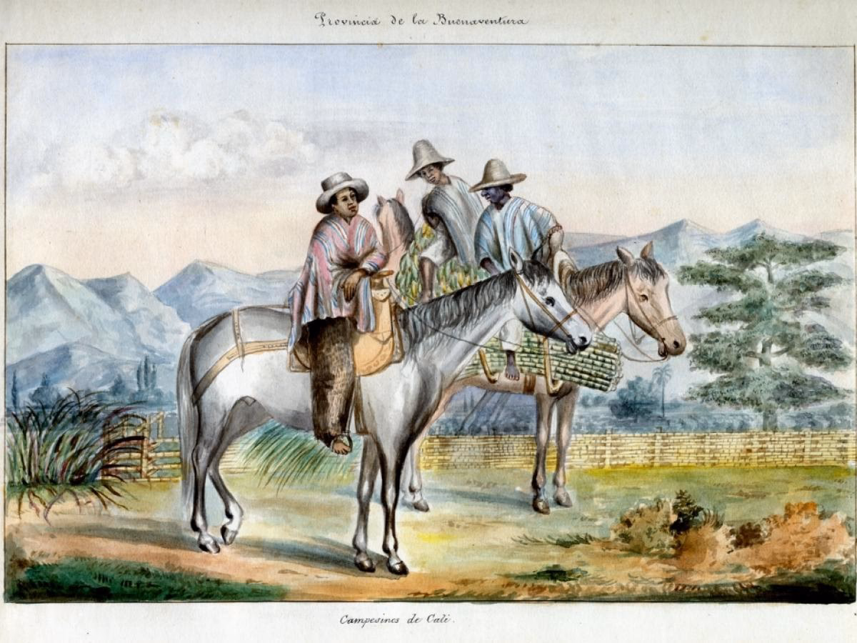 ¿Qué fue lo más importante de la campaña libertadora?