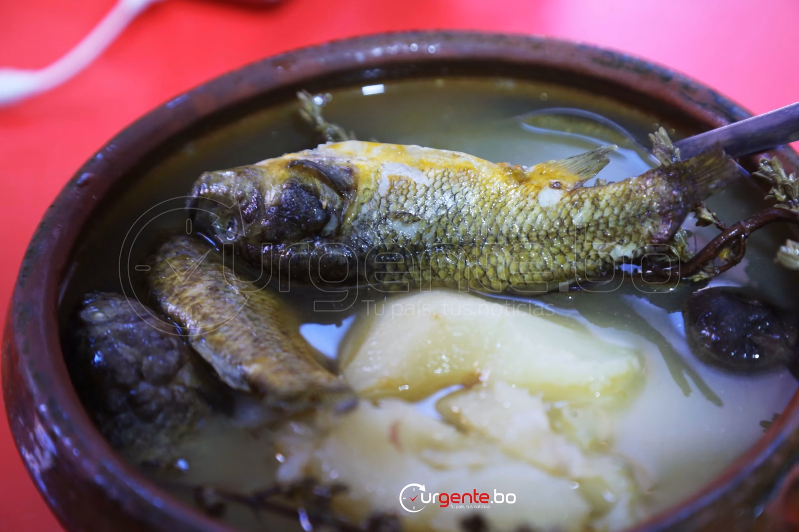 ¿Qué calle de Karachi es famosa por su comida?