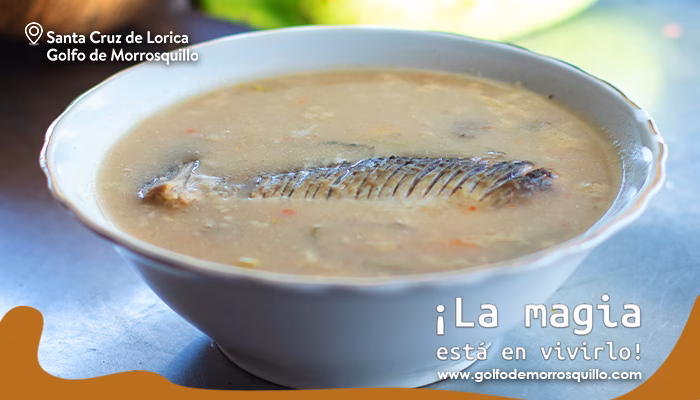 ¿Dónde se pesca el bocachico?