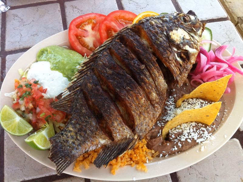 ¿Qué caracteriza a la costa de Oaxaca?