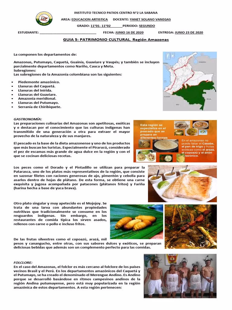 ¿Cuáles son 5 características de la región amazónica?