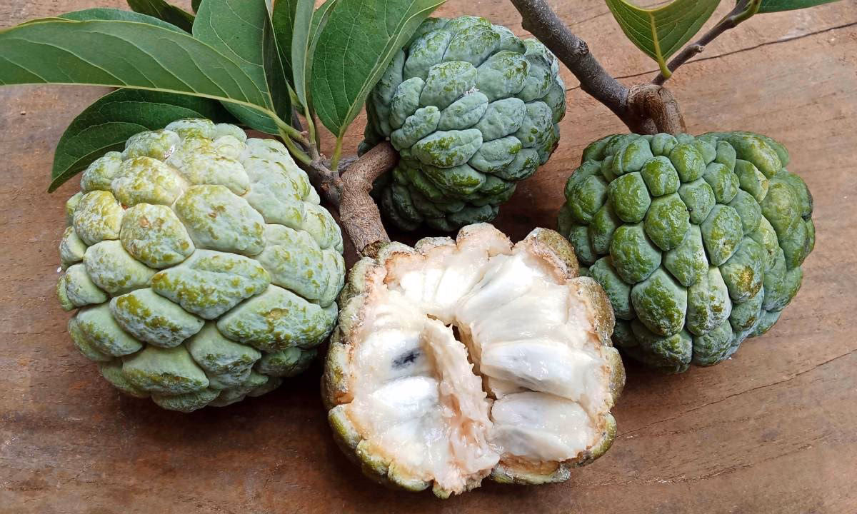 ¿Cuáles son las frutas típicas de la región insular?