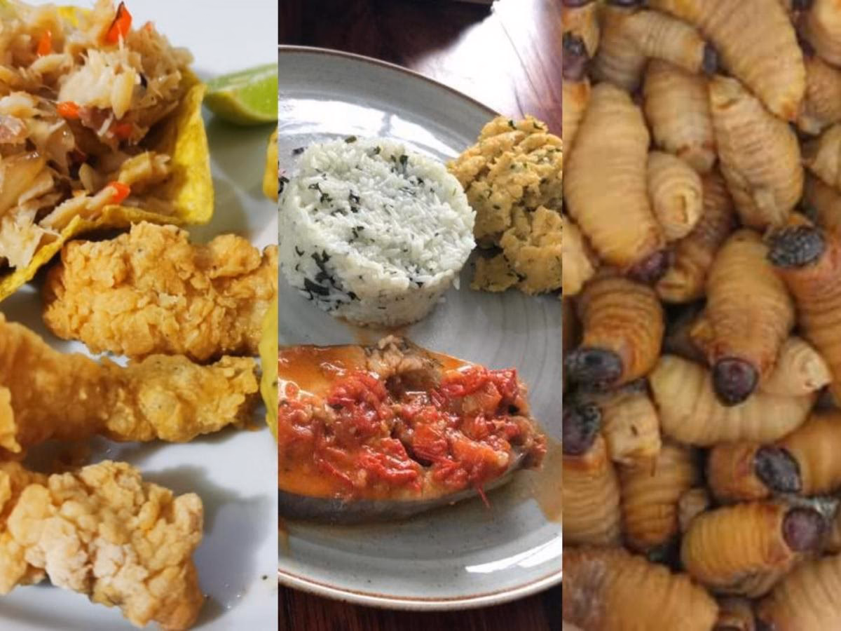 ¿Cuáles son los alimentos de la selva amazónica?