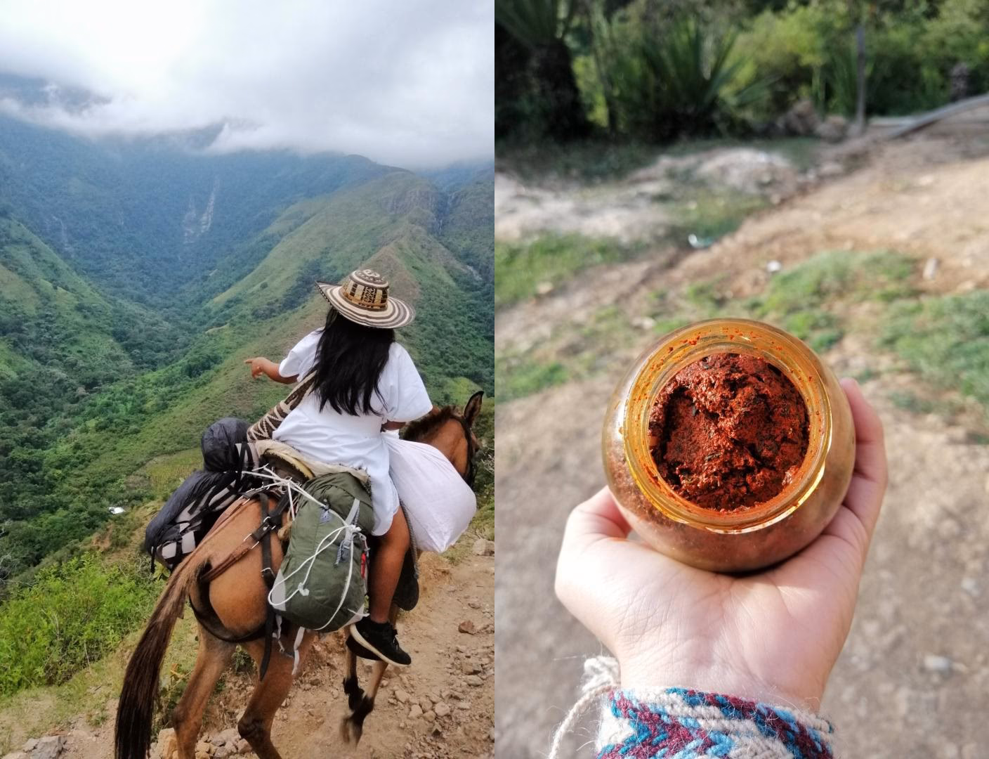 ¿Qué comen los arahuacos?