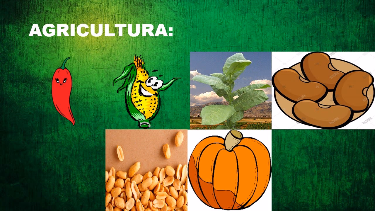 ¿Cuál es la comida típica de los arhuacos?