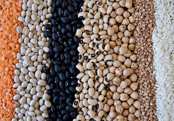 ¿Qué comerciaban los cartagineses?