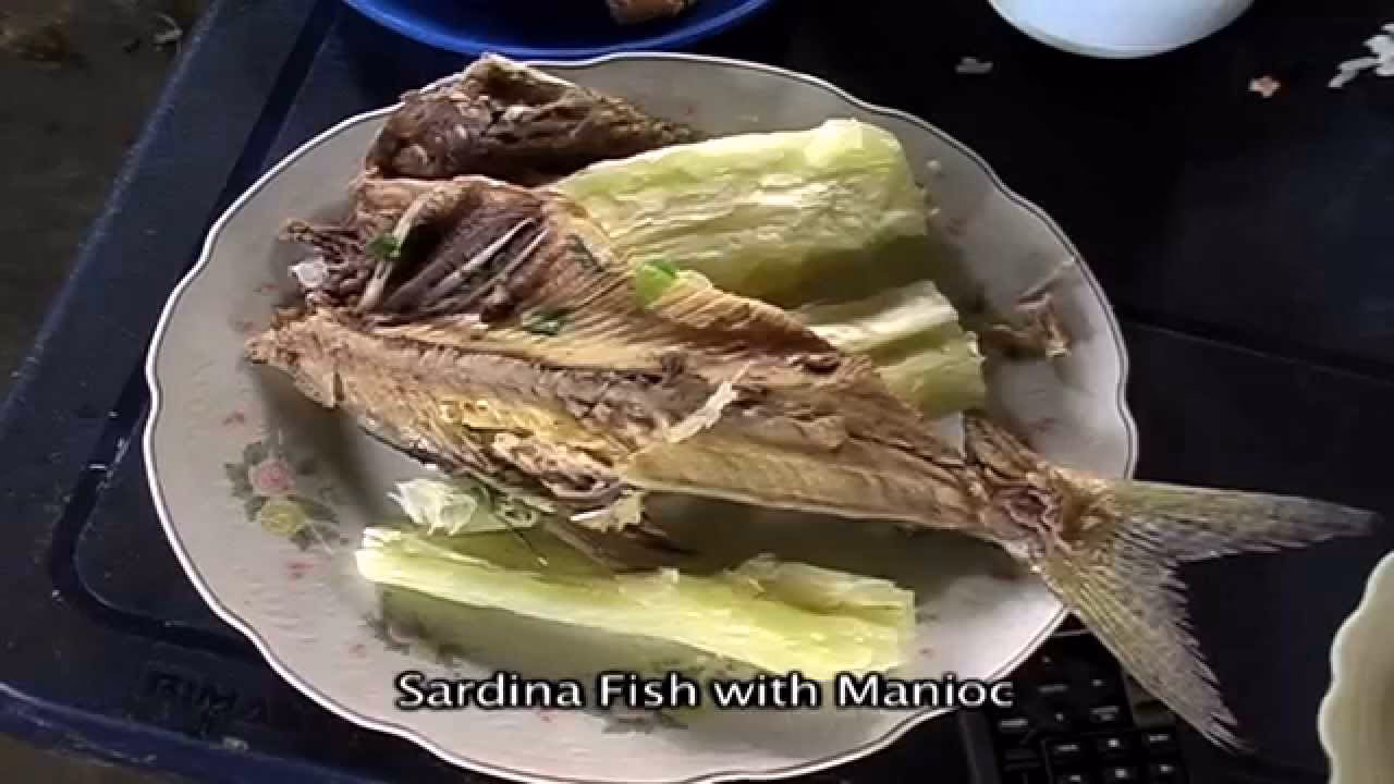 ¿Qué son las ingas?