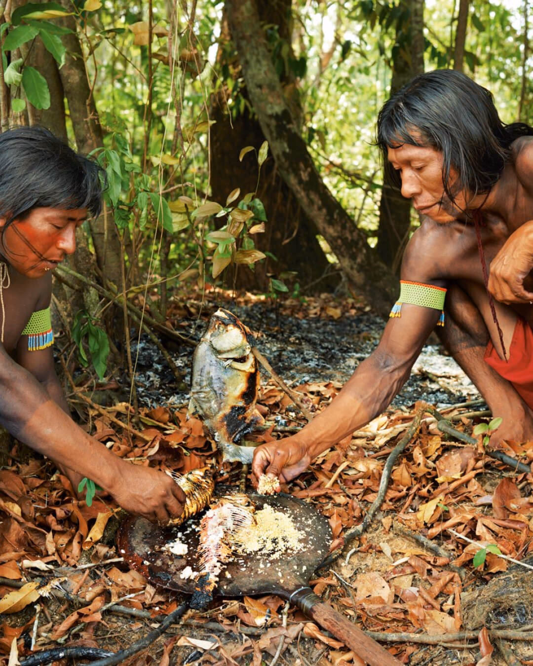 ¿Qué come Kayapo?