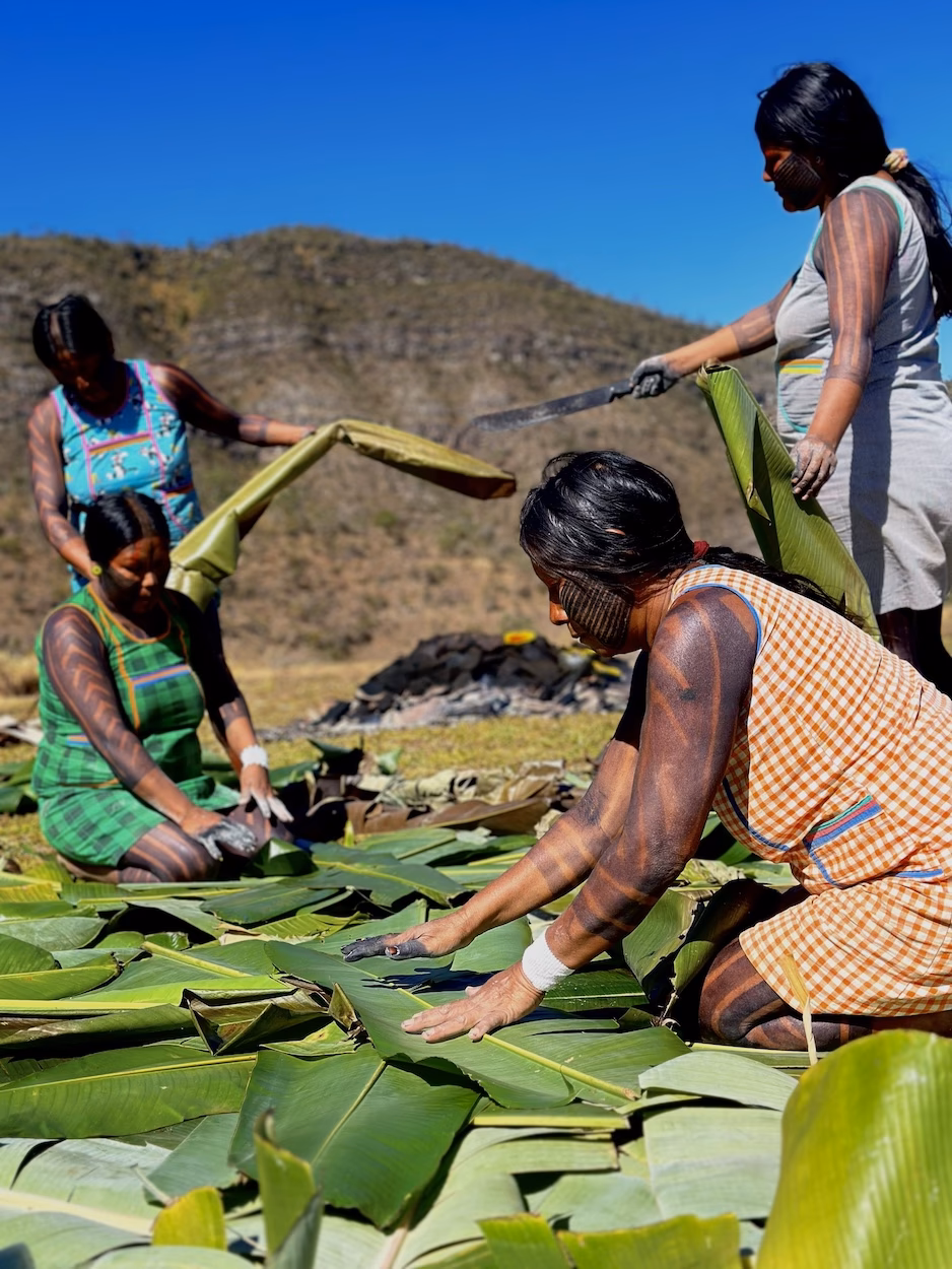¿Cuál es la apariencia Kayapo?