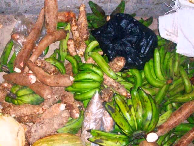 ¿Qué diferencia hay entre los Kogui y los wayuu?