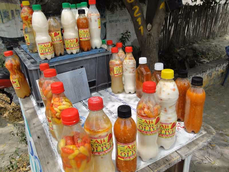 ¿Cuántos años tienen los palmitos sucre?