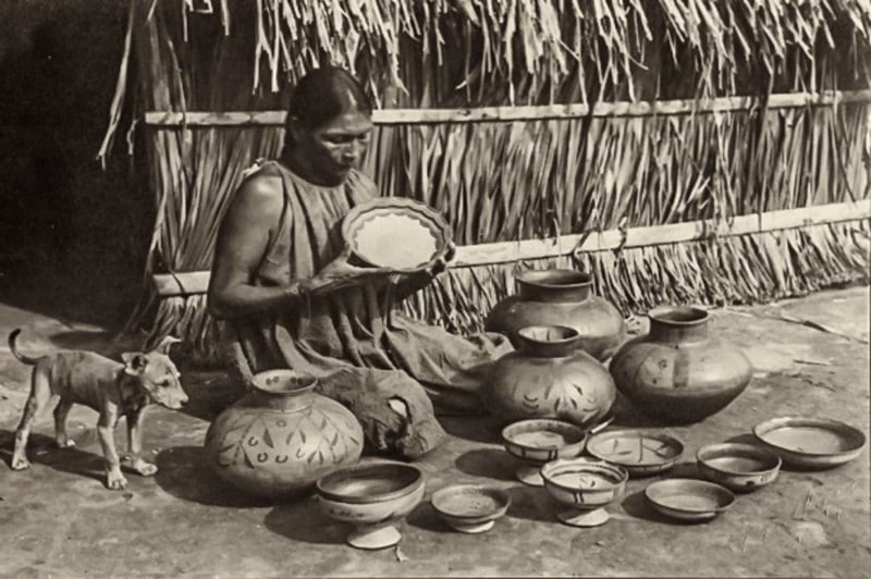 ¿Dónde se ubican los piapocos en Venezuela?