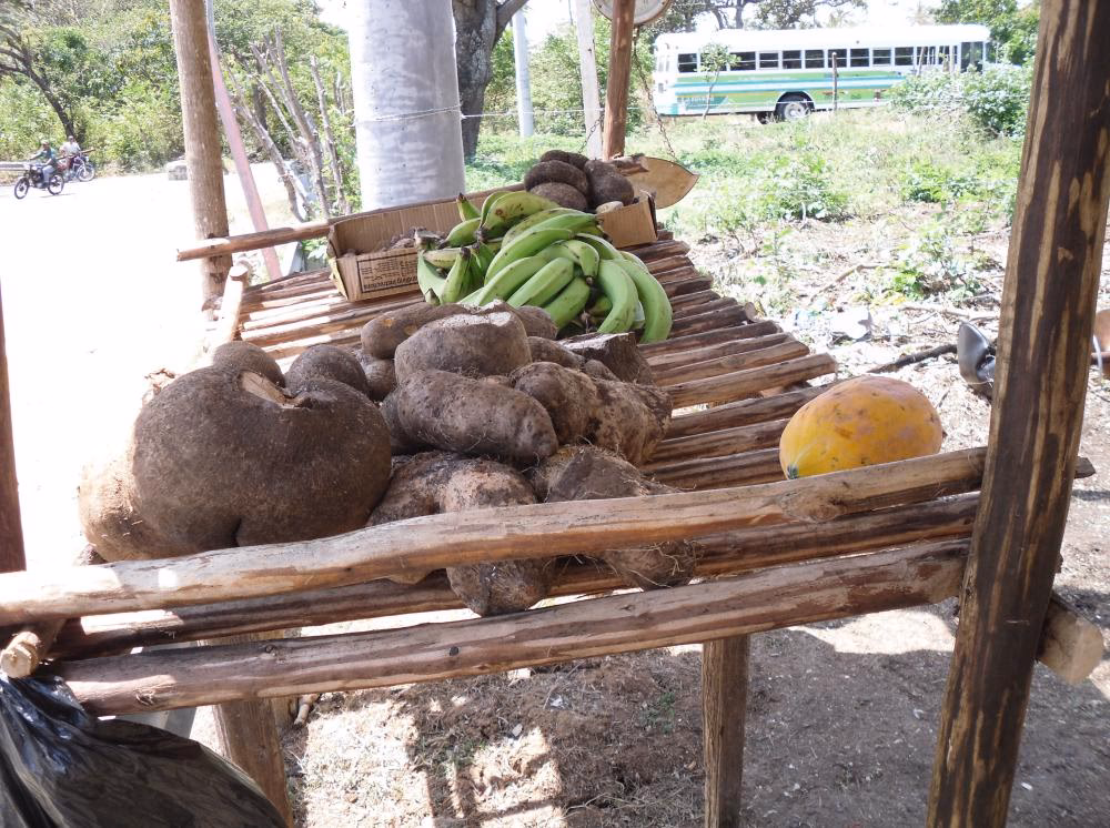 ¿Cuáles son las tradiciones de los raizales?