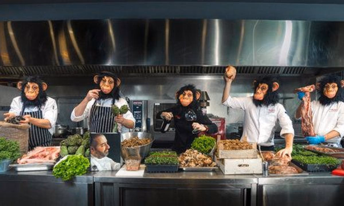 ¿Qué comen los simios?